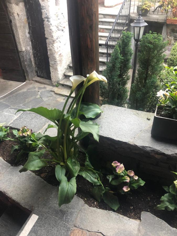 Garni Degli Angioli Ascona Exterior foto