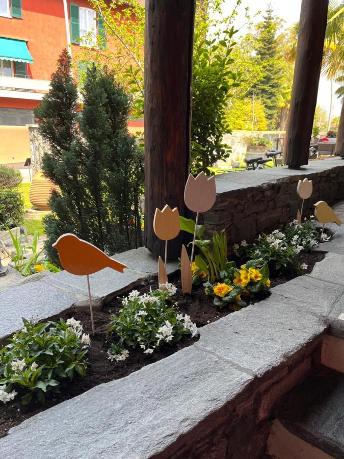 Garni Degli Angioli Ascona Exterior foto
